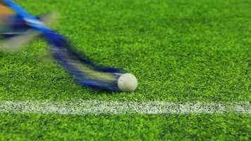 Free download Fall Sports video and edit with RedcoolMedia movie maker MovieStudio video editor online and AudioStudio audio editor onlin