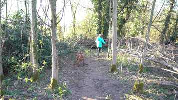 Free download Family video and edit with RedcoolMedia movie maker MovieStudio video editor online and AudioStudio audio editor onlin