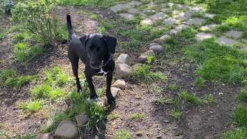 Free download Far from Here long version video and edit with RedcoolMedia movie maker MovieStudio video editor online and AudioStudio audio editor onlin