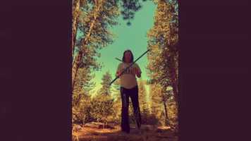 Free download fast forest flow video and edit with RedcoolMedia movie maker MovieStudio video editor online and AudioStudio audio editor onlin