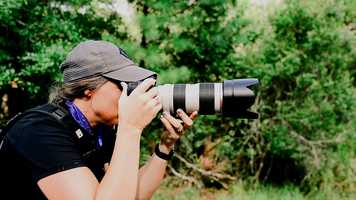 Free download Fast Horse Photography Promo Film video and edit with RedcoolMedia movie maker MovieStudio video editor online and AudioStudio audio editor onlin