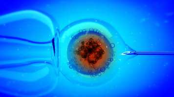 Free download Fatal Injection video and edit with RedcoolMedia MovieStudio video editor online and AudioStudio audio editor onlin