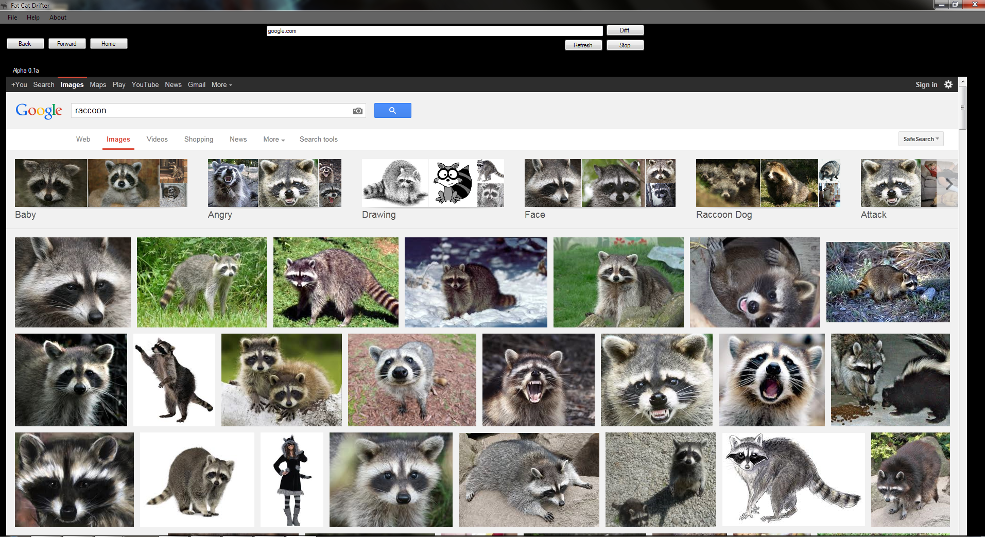 Download web tool or web app Fat Cat Drifter Download web tool or web app Fat Cat Drifter