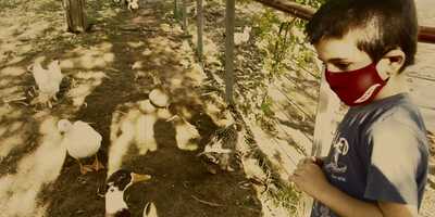 Free download Father and son time video and edit with RedcoolMedia movie maker MovieStudio video editor online and AudioStudio audio editor onlin