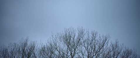 Free download Father - Teaser video and edit with RedcoolMedia movie maker MovieStudio video editor online and AudioStudio audio editor onlin