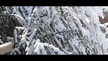 Free download February 26 2018, Rome video and edit with RedcoolMedia movie maker MovieStudio video editor online and AudioStudio audio editor onlin