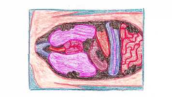 Free download feelings and stuff (yuck!) video and edit with RedcoolMedia movie maker MovieStudio video editor online and AudioStudio audio editor onlin