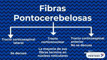 Free download FELIPE GARZON video and edit with RedcoolMedia movie maker MovieStudio video editor online and AudioStudio audio editor onlin