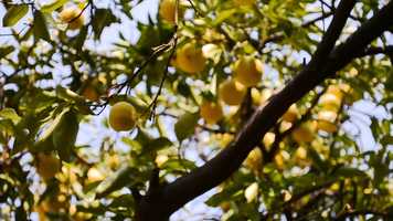 Free download FEMININE MANIFESTO video and edit with RedcoolMedia movie maker MovieStudio video editor online and AudioStudio audio editor onlin