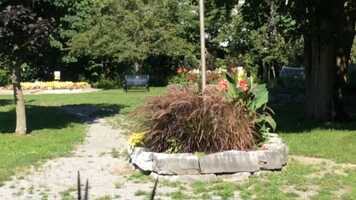 Free download Fenelon Falls Cenotaph Flowers video and edit with RedcoolMedia movie maker MovieStudio video editor online and AudioStudio audio editor onlin