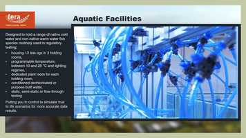 Free download Fera Science - Aquatic Laboratory  Plant Room video and edit with RedcoolMedia movie maker MovieStudio video editor online and AudioStudio audio editor onlin