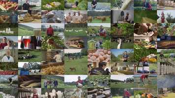 Free download Fermandises video and edit with RedcoolMedia movie maker MovieStudio video editor online and AudioStudio audio editor onlin