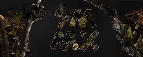 Free download Festival Stop Motion MX 2019. video and edit with RedcoolMedia movie maker MovieStudio video editor online and AudioStudio audio editor onlin