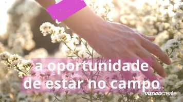 Free download Fiction Book Trailer video and edit with RedcoolMedia movie maker MovieStudio video editor online and AudioStudio audio editor onlin