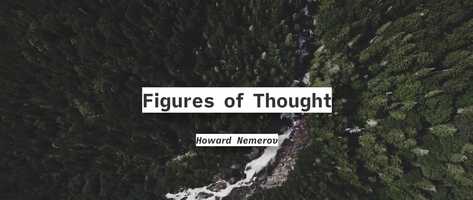 Free download Figures of Thought  by Howard Nemerov video and edit with RedcoolMedia movie maker MovieStudio video editor online and AudioStudio audio editor onlin