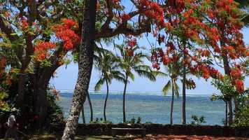 Free download Fiji video and edit with RedcoolMedia movie maker MovieStudio video editor online and AudioStudio audio editor onlin