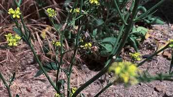 Free download film 104 Project 4 video and edit with RedcoolMedia movie maker MovieStudio video editor online and AudioStudio audio editor onlin