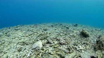 Free download FILM 14 - THE CHALLENGE_CUT_1mp4 video and edit with RedcoolMedia movie maker MovieStudio video editor online and AudioStudio audio editor onlin