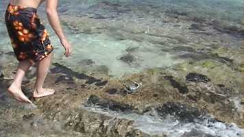 Free download Film 1A video and edit with RedcoolMedia movie maker MovieStudio video editor online and AudioStudio audio editor onlin