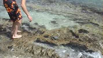 Free download FILM 1B SPOOKY SHORES video and edit with RedcoolMedia movie maker MovieStudio video editor online and AudioStudio audio editor onlin