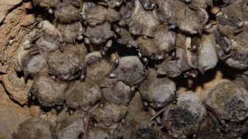 Free download Film 208 Final V2 video and edit with RedcoolMedia movie maker MovieStudio video editor online and AudioStudio audio editor onlin