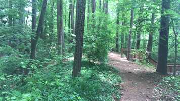 Free download Film 232: Final Film- ROUGH CUT video and edit with RedcoolMedia movie maker MovieStudio video editor online and AudioStudio audio editor onlin