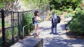 Free download Film 2, Dont, Alex Kajokeji video and edit with RedcoolMedia movie maker MovieStudio video editor online and AudioStudio audio editor onlin