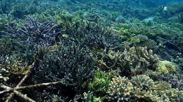 Free download FILM 2 - OUR SOLUTION_CUT_2mp4 video and edit with RedcoolMedia movie maker MovieStudio video editor online and AudioStudio audio editor onlin