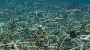 Free download FILM 31 IMPACT - POST_BUILD video and edit with RedcoolMedia movie maker MovieStudio video editor online and AudioStudio audio editor onlin