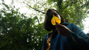 Free download Film_710_Singh_Mallika.mp4 video and edit with RedcoolMedia movie maker MovieStudio video editor online and AudioStudio audio editor onlin