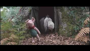 Free download Film Animation Showreel video and edit with RedcoolMedia movie maker MovieStudio video editor online and AudioStudio audio editor onlin