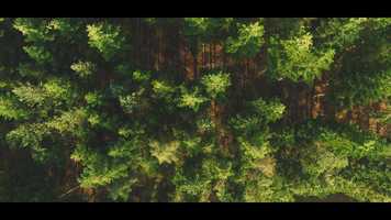 Free download film by autofocus.mp4 video and edit with RedcoolMedia movie maker MovieStudio video editor online and AudioStudio audio editor onlin