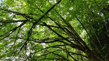 Free download Film Class - my morning routine video and edit with RedcoolMedia movie maker MovieStudio video editor online and AudioStudio audio editor onlin