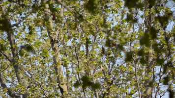 Free download Film collectif sur la peur video and edit with RedcoolMedia movie maker MovieStudio video editor online and AudioStudio audio editor onlin