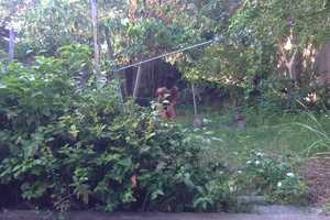 Free download Filme em 20-03-2020 às 1644 #2 video and edit with RedcoolMedia movie maker MovieStudio video editor online and AudioStudio audio editor onlin