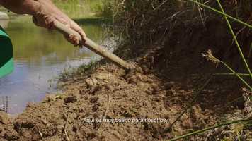 Free download Filme Mucun - Trailer video and edit with RedcoolMedia movie maker MovieStudio video editor online and AudioStudio audio editor onlin