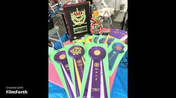 Free download FilmForth Project_1.mp4 video and edit with RedcoolMedia movie maker MovieStudio video editor online and AudioStudio audio editor onlin