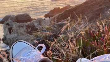 Free download Film Journal Set 2_3_Becerra video and edit with RedcoolMedia movie maker MovieStudio video editor online and AudioStudio audio editor onlin