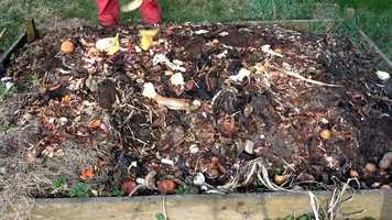 Free download Film nr 3 video and edit with RedcoolMedia movie maker MovieStudio video editor online and AudioStudio audio editor onlin