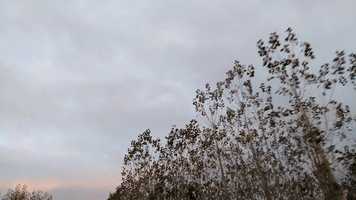 Free download Filmo a la manera de Raymond Depardon, Guillem video and edit with RedcoolMedia movie maker MovieStudio video editor online and AudioStudio audio editor onlin