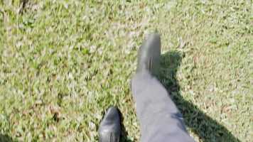 Free download Film Pépinière video and edit with RedcoolMedia movie maker MovieStudio video editor online and AudioStudio audio editor onlin