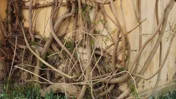 Free download Film portrait- new music video and edit with RedcoolMedia movie maker MovieStudio video editor online and AudioStudio audio editor onlin