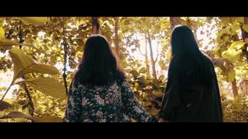 Free download FILM REEL (V) video and edit with RedcoolMedia movie maker MovieStudio video editor online and AudioStudio audio editor onlin