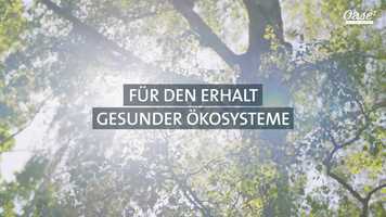 Free download Film_Schlixx_Plus_DE.mp4 video and edit with RedcoolMedia movie maker MovieStudio video editor online and AudioStudio audio editor onlin