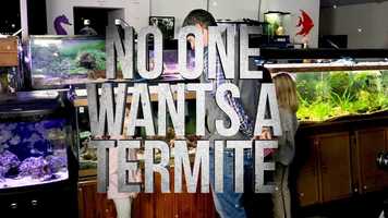 Free download FilmSmith Studios Demo Reel 2018 video and edit with RedcoolMedia movie maker MovieStudio video editor online and AudioStudio audio editor onlin