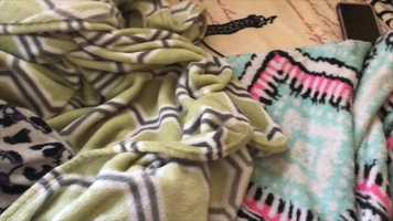 Free download Film Stylo: My Favorite Spots at Home by Yareli C. video and edit with RedcoolMedia movie maker MovieStudio video editor online and AudioStudio audio editor onlin