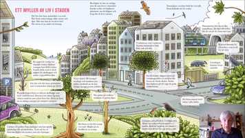 Free download Film till Lra NO hemsida om boken fr k 4 video and edit with RedcoolMedia movie maker MovieStudio video editor online and AudioStudio audio editor onlin