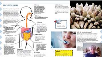 Free download Film till Lra NO hemsida om boken fr k 5.mp4 video and edit with RedcoolMedia movie maker MovieStudio video editor online and AudioStudio audio editor onlin