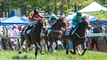 Free download FINAL MOVIE 1 video and edit with RedcoolMedia movie maker MovieStudio video editor online and AudioStudio audio editor onlin