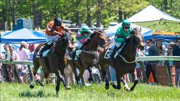 Free download FINAL MOVIE 3 video and edit with RedcoolMedia movie maker MovieStudio video editor online and AudioStudio audio editor onlin